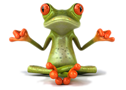 frog11 frog11
